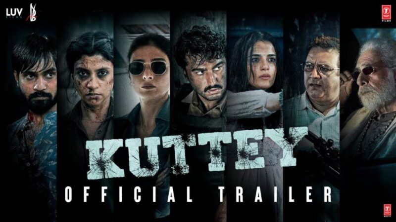 Kuttey Budget and Collection