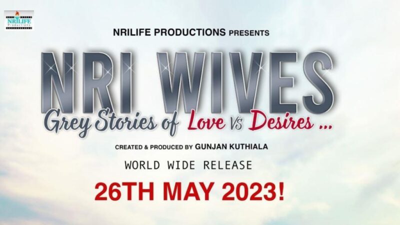 NRI Wives Movie Budget and Collection