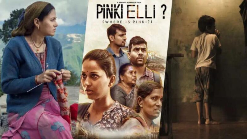 Pinki Elli Movie Budget and collection