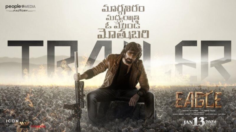 Eagle Telugu Movie Budget and Collection